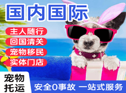 鸡西航空物流国际宠物托运 【国